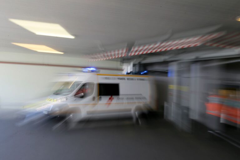 Frankreich meldet ersten Shamonda-Virus-Fall beim Menschen