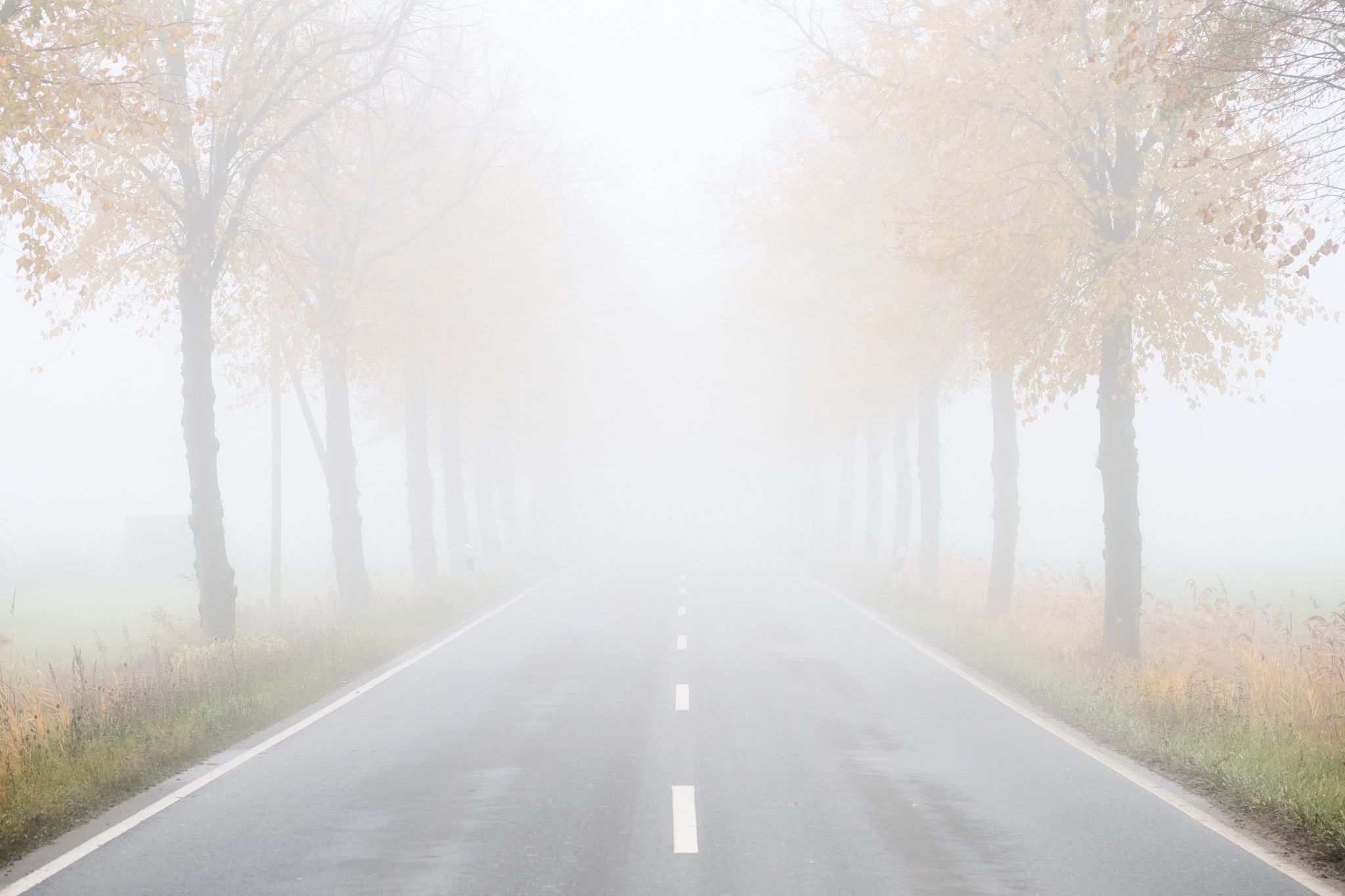 Nebel in Niedersachsen