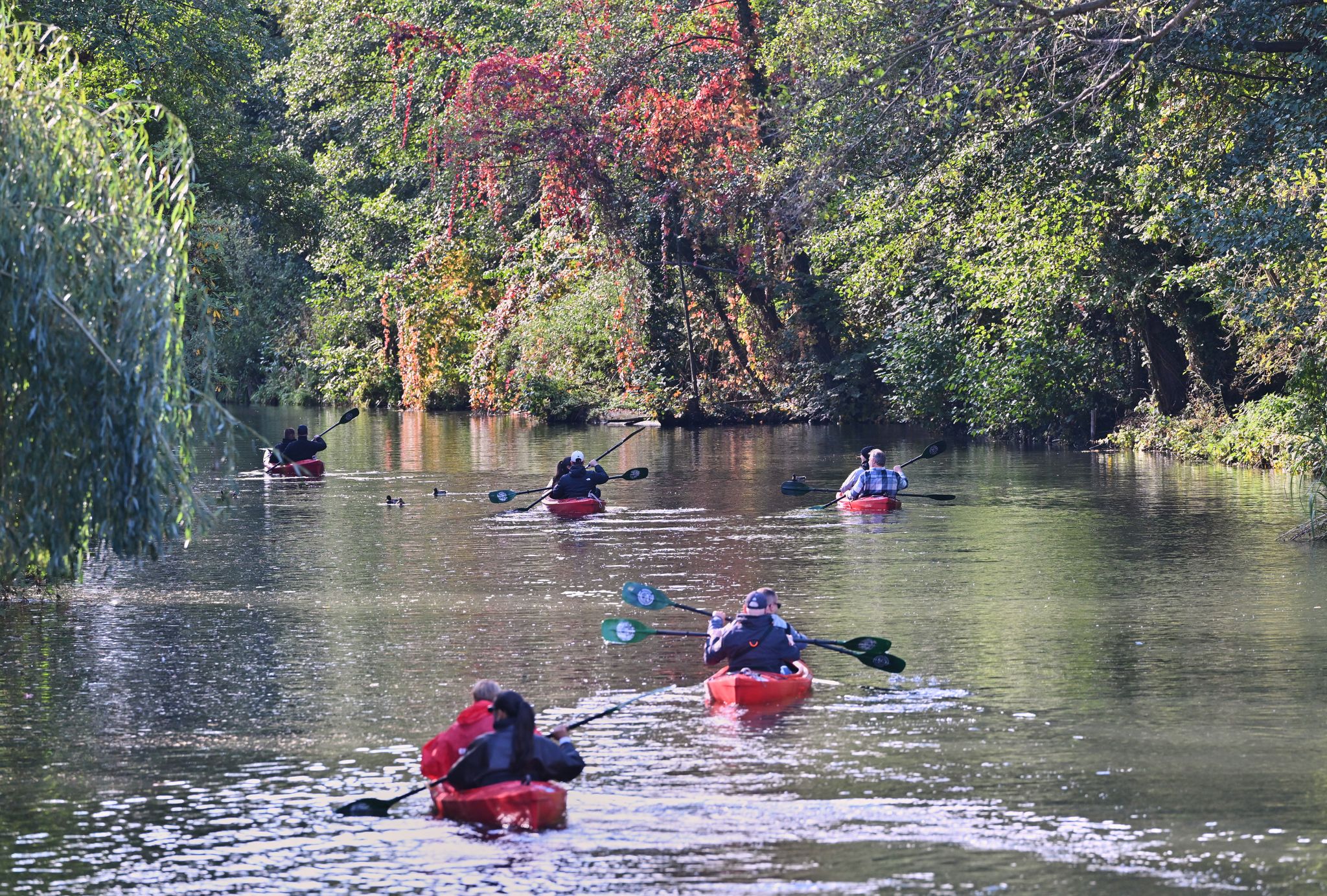 Herbst im Spreewald