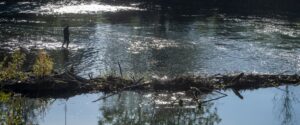 Angler in Isar